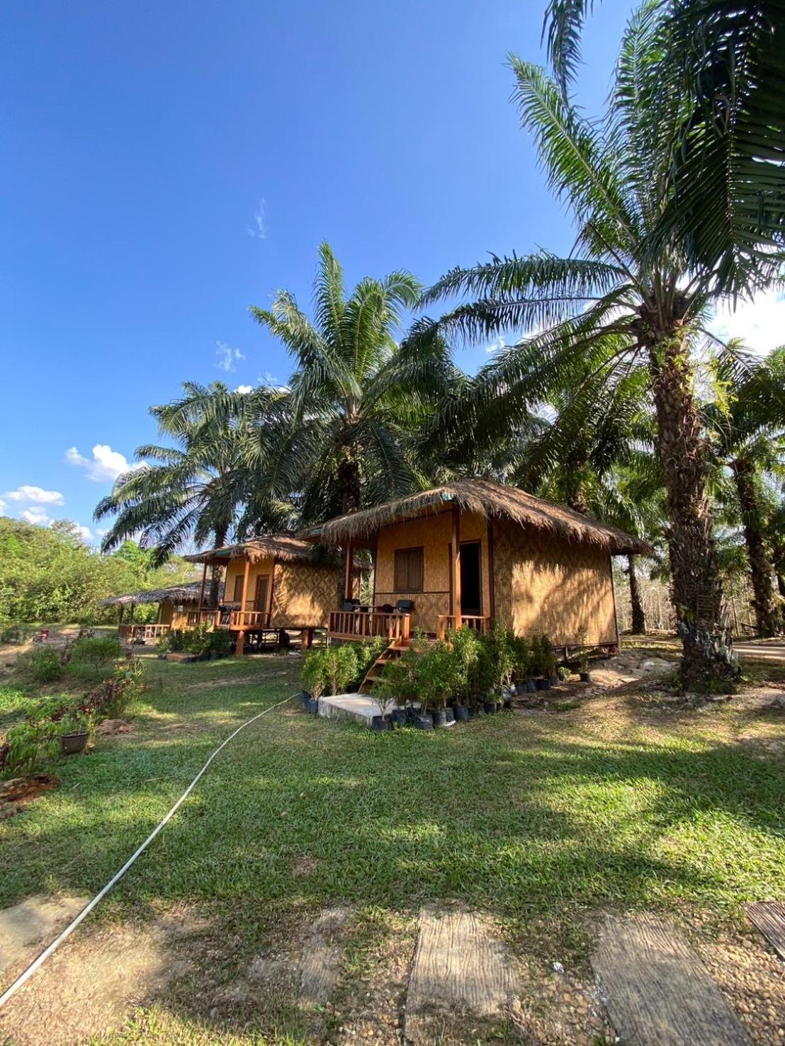 Lak Kao Nai Resort Ban Pha Saeng Lang Eksteriør bilde